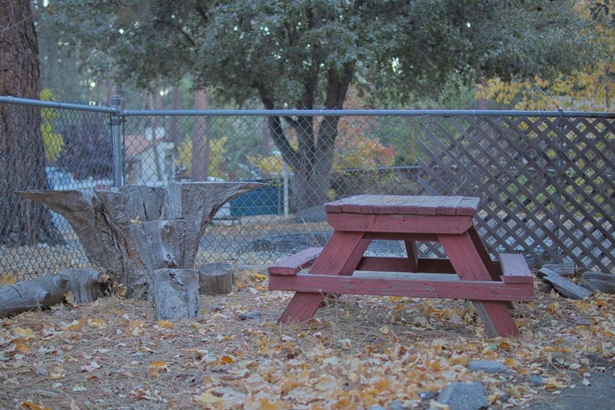 Ray'S Dear Cottage Wrightwood Exteriör bild