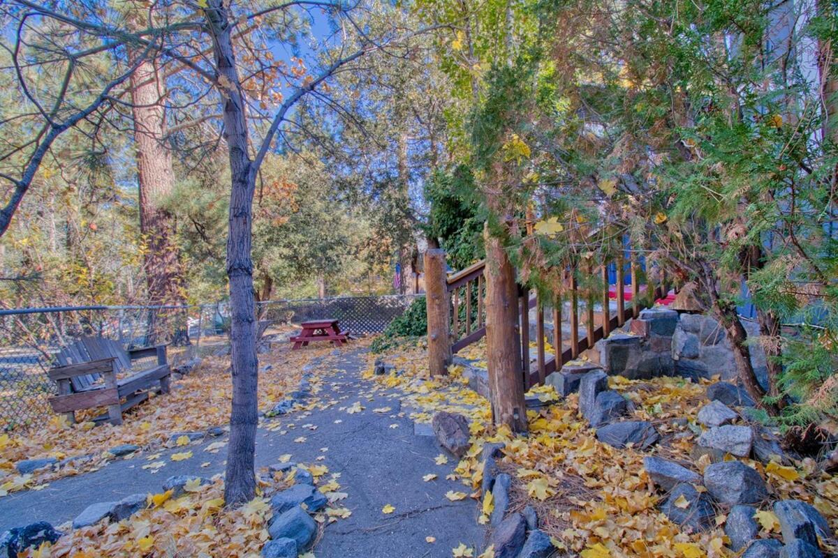 Ray'S Dear Cottage Wrightwood Exteriör bild